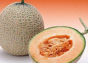 外国小孩吃哈密瓜视频,体验新疆甜蜜滋味