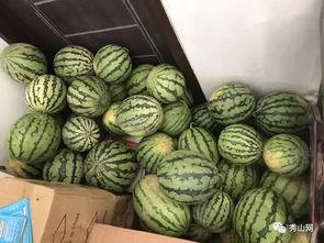 汾阳昌瑞绿洲吃瓜视频