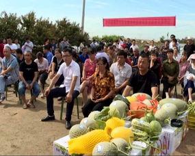 农民吃瓜的视频,农民吃瓜视频展现丰收喜悦