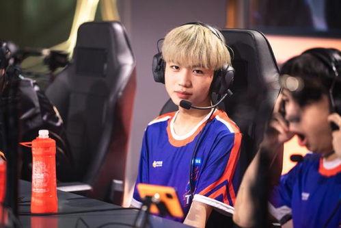 明星骂粉丝吃瓜视频大全,揭秘娱乐圈真实一面