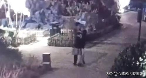 黑市老板吃瓜视频,揭秘幕后交易与神秘势力