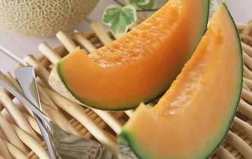 李美丽吃哈密瓜视频播放