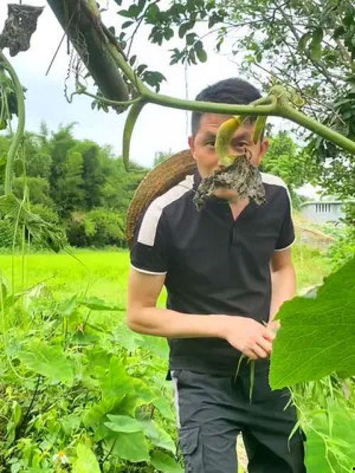 乡下吃瓜大妈视频大全,大妈吃瓜视频大盘点