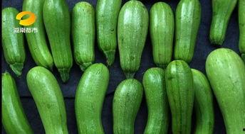 什么瓜随便吃会中毒呢视频,随意食用哪些“瓜”可能导致中毒？揭秘食品安全知识