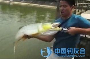 吃哈密瓜钓鱼好钓吗视频,揭秘神奇果实如何提升垂钓体验