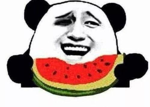 求抱抱吃瓜视频下载安装